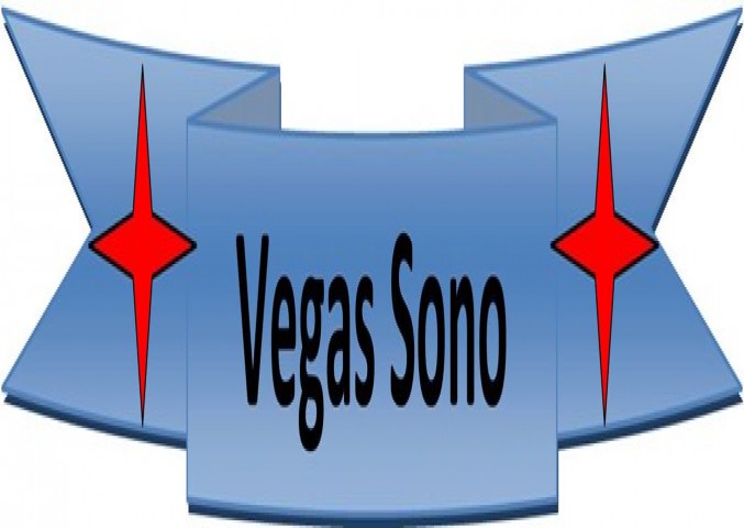 Prestations de service Dj Animateur Discomobile VEGAS SONO à FIGEAC (46100)