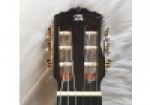 Instrument de musique Alhambra 7Fc electro acoustic à Bourges